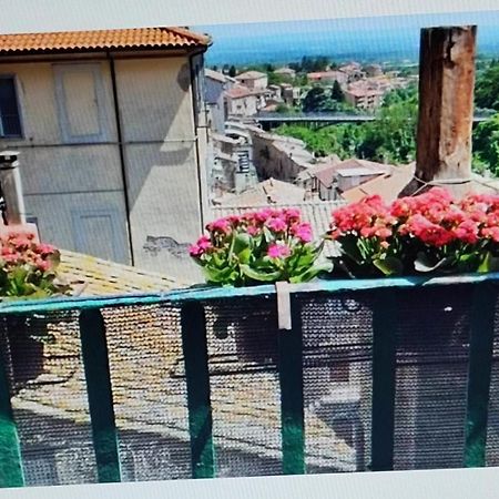 Apartament La Casa Del Sole Caprarola Zewnętrze zdjęcie